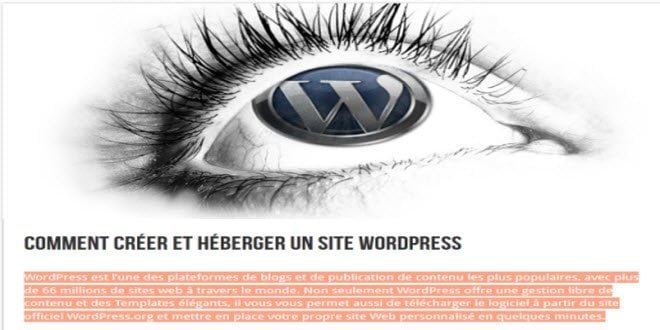 changer couleur selection text wordpress feature