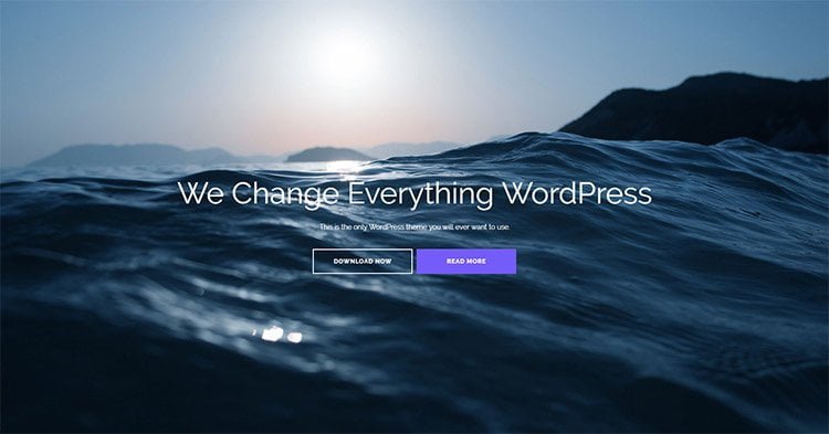Shapely Business Theme