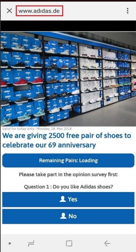 Baskets Adidas gratuites
