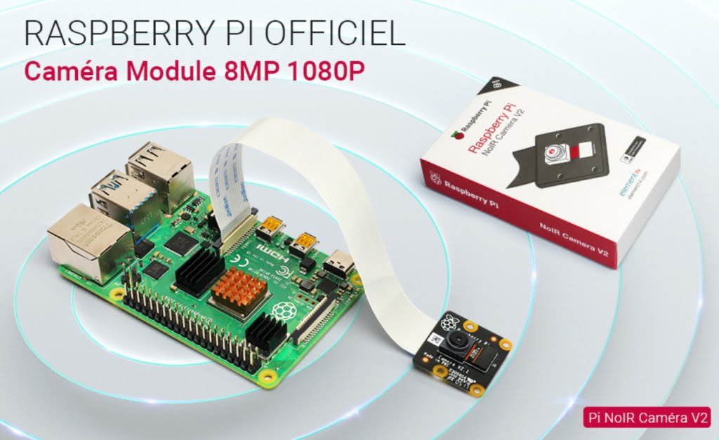 Raspberry-Pi-Camera-Module-1080P